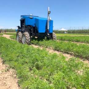 Robot do pielenia chwastów Carre ANATIS