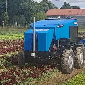 Robot pielący warzywa
