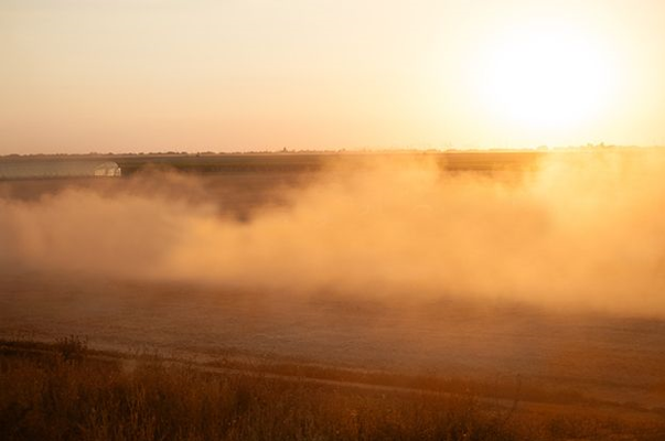 Zamów pokaz w swoim gospodarstwie