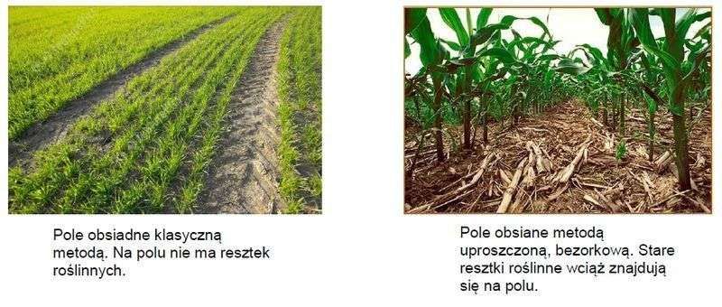 Porównanie uprawy klasycznej i bezorkowej Porównanie uprawy klasycznej i bezorkowej