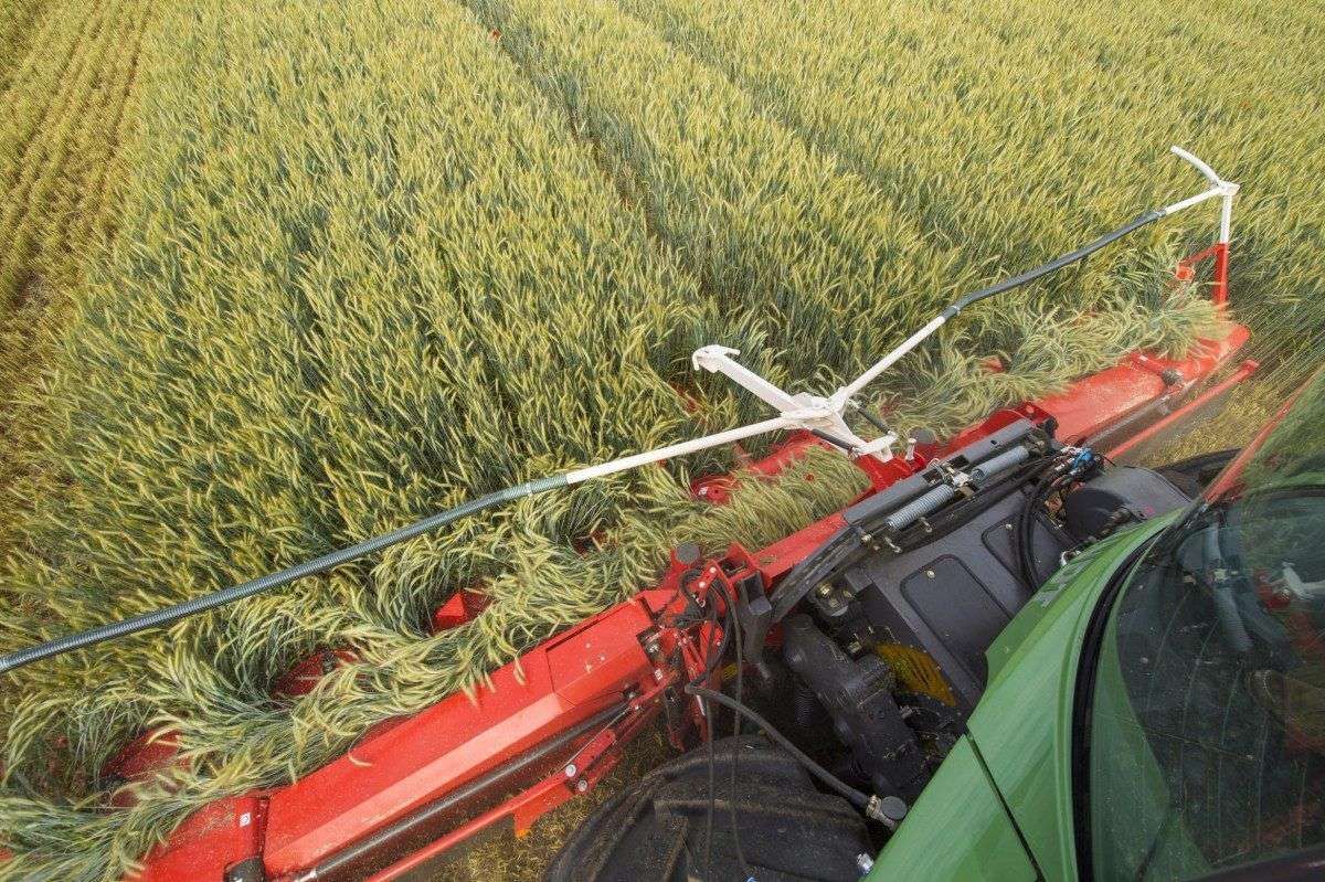 Pole i przystawka Kemper pracująca na nim Czerwona przystawka Kemper dostępna od firmy korbanek na zielonym polu zaczepiona do sieczkarni samojezdnej