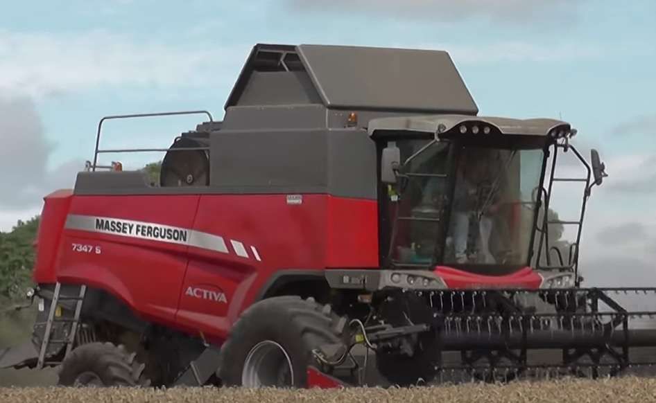 Kombajn MF 7347 Activa S na polu Massey Ferguson 7347 zbiór zbóż