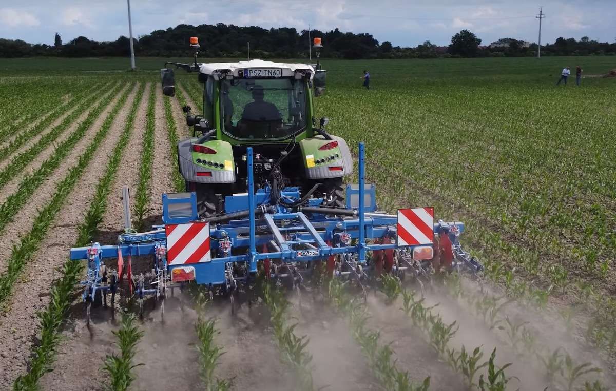 Ciągnik Fendt z pielnikiem Carre
